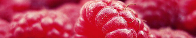 Intohimoista asennetta ja vadelmakakkua, anyone?